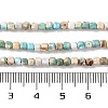 Natural Howlite Beads Strands G-H025-04A-5