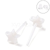 Hypoallergenic Bioceramics Zirconia Ceramic Star Stud Earrings EJEW-Z023-06E-1