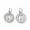 Brass Micro Pave Cubic Zirconia Charms KK-E068-VB197-1