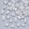 2-Hole Transparent Glass Seed Beads X-SEED-S031-M-001-1