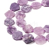 Natural Lepidolite Beads Strands G-L095-A01-01B-4