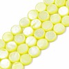 Freshwater Shell Beads Strands SHEL-T009-B16-01-1