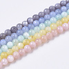 Natural Freshwater Shell Beads Strands BSHE-T009-01-1