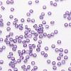 8/0 Glass Seed Beads SEED-J013-F8-13-3