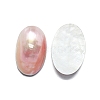 Natural Shell Cabochons SHEL-K008-07B-2