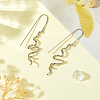 1 Pair Brass Dangle Earrings EJEW-HS0001-29P-5
