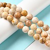 Natural Crazy Lace Agate Beads Strands G-H298-A12-04-2