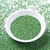 MIYUKI Delica Beads SEED-X0054-DB0163-2