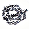 Natural Cultured Freshwater Pearl Beads Strands PEAR-N013-05L-2