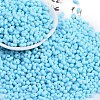 Baking Paint Glass Seed Beads SEED-K010-A20-1