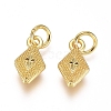 Electroplated Alloy Charms PALLOY-G267-13G-2