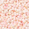 Baking Paint Glass Seed Beads SEED-F005-01A-02-3