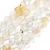 Natural Topaz Beads Strands G-C179-F04-01-1