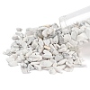 Natural Howlite Chip Beads G-FS0001-12-3