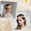 Alloy Rhinestone Mesh Headbands OHAR-WH20007-05G-02-4