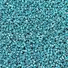 MIYUKI Delica Beads SEED-X0054-DB0427-3