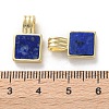 Natural Lapis Lazuli Pendants G-B123-03G-03-3