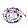 Natural Fluorite Beads Strands G-G991-C01-3