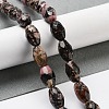 Natural Rhodonite Beads Strands G-P520-C22-01-2