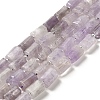 Natural Amethyst Beads Strands G-N327-06-04-1