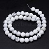 Round Natural Howlite Bead Strands X1-G-F222-14-6mm-3