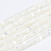 Natural Trochid Shell/Trochus Shell Beads Strands X-SSHEL-L016-13A-1