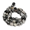 Natural Picasso Jasper Beads Strands G-K398-A01-01-3