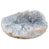 Irregular Natural Celestite/Celestine Home Display Decorations G-WH0018-035-1