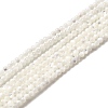 Natural White Shell Beads X-G-N0190-11-2mm-2
