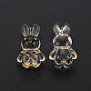 Transparent Acrylic Beads LS-MACR-S373-81-B04-3