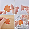 CRASPIRE 5 Sets 5 Styles PVC Plastic Bottle Self Adhesive Decorative Stickers STIC-CP0001-06-6