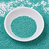 MIYUKI Delica Beads SEED-MY11-DB0759-2