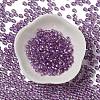 Glass Seed Beads SEED-H002-C-A043-2