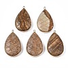 Natural Picture Jasper Pendants G-N326-108E-1