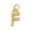 Rack Plating Brass Charms KK-P245-06G-F-1