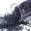 TOHO Round Seed Beads SEED-JPTR15-0929-1