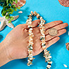 1 Strand Natural Seashell Shell Beads Strands SSHEL-TA0001-12-6