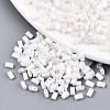 200Pcs 2 Styles 2-Hole Glass Seed Beads SEED-HS0001-08-2