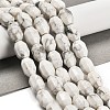 Natural Howlite Beads Strands G-F781-A03-01-2