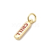 Brass Enamel Charms KK-P338-01G-D02-2