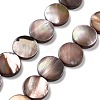 Natural Sea Shell Beads Strands SSHEL-D084-13A-1