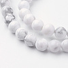 Natural Howlite Bead Strands G-G735-66-6mm-5