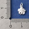 925 Sterling Silver Charms STER-M120-01D-S-3