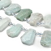 Natural Amazonite Beads Strands G-H078-A06-01-3