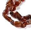 Natural Garnet Beads Strands G-P497-01C-38-4