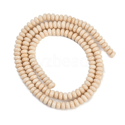 Natural Fossil Beads Strands G-K343-C24-01-1