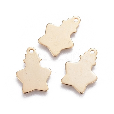 304 Stainless Steel Pendants STAS-F192-041G-1
