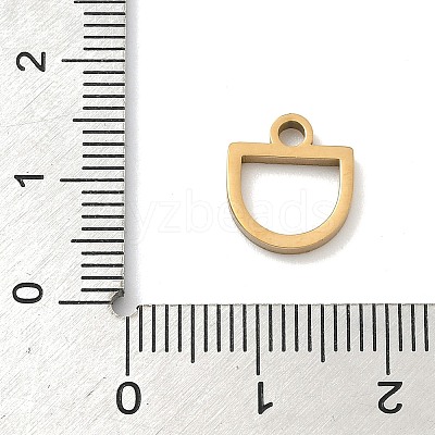 304 Stainless Steel Charms STAS-P433-13A-G-1
