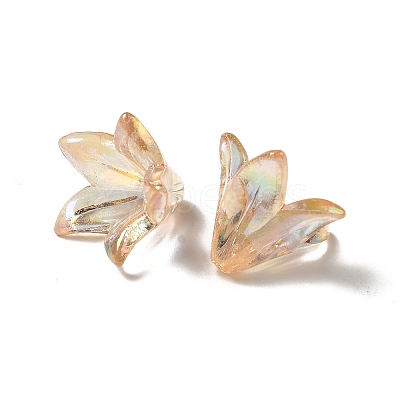 Transparent Acrylic Bead Caps OACR-H016-05D-1