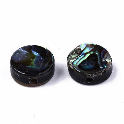 Natural Abalone Shell/Paua Shell Beads SSHEL-T014-14A-1